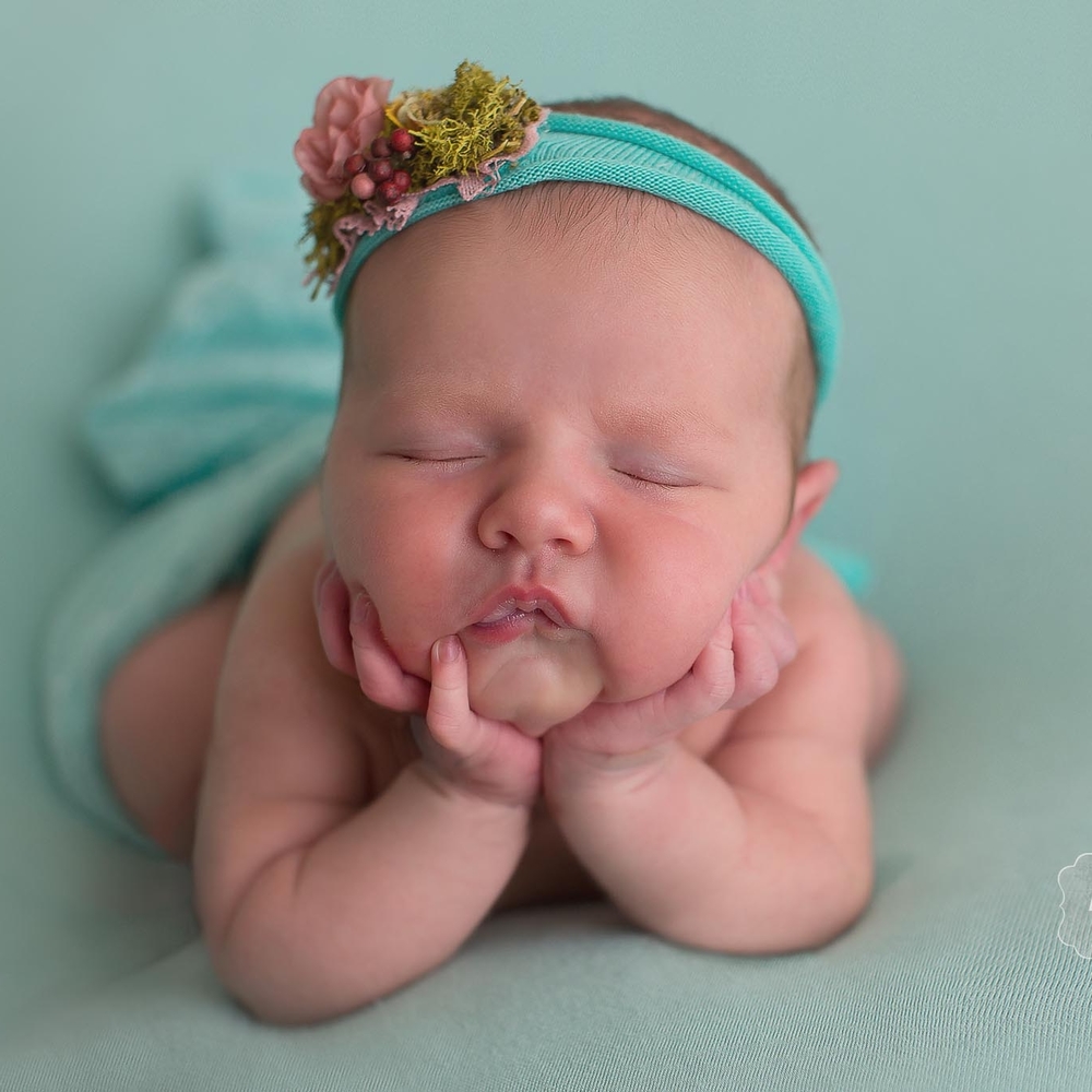 Meet your Posher, Susan